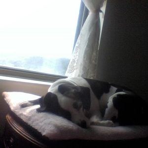 Meet your Posher, Sharon